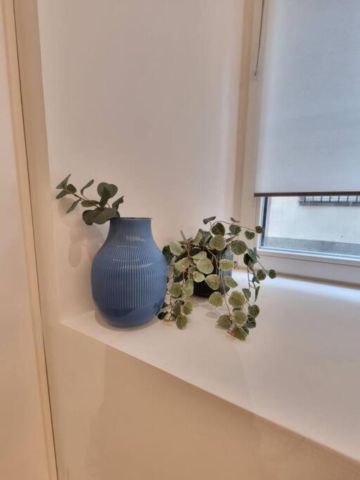 Les Appartements Hyper Centre 斯特拉斯堡 外观 照片