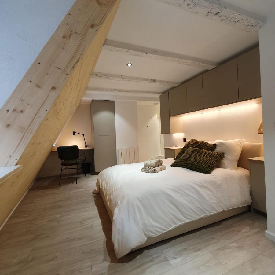 Les Appartements Hyper Centre 斯特拉斯堡 外观 照片