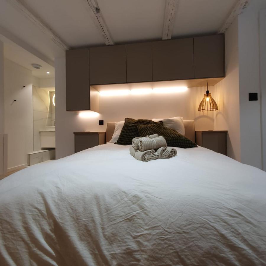 Les Appartements Hyper Centre 斯特拉斯堡 外观 照片