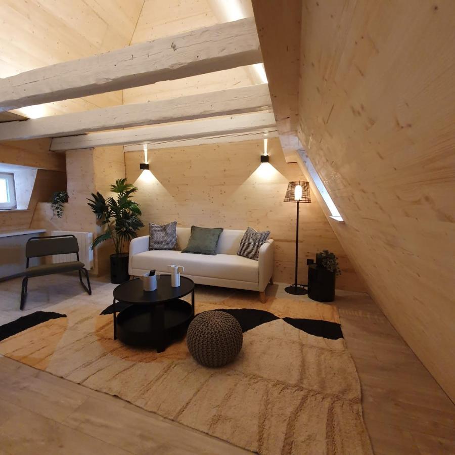Les Appartements Hyper Centre 斯特拉斯堡 外观 照片