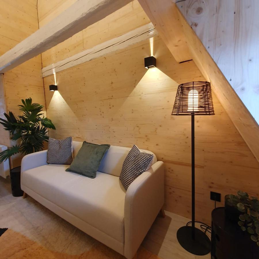Les Appartements Hyper Centre 斯特拉斯堡 外观 照片