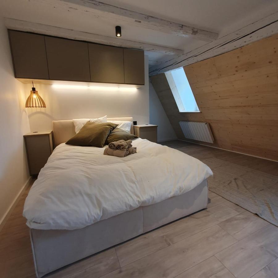 Les Appartements Hyper Centre 斯特拉斯堡 外观 照片