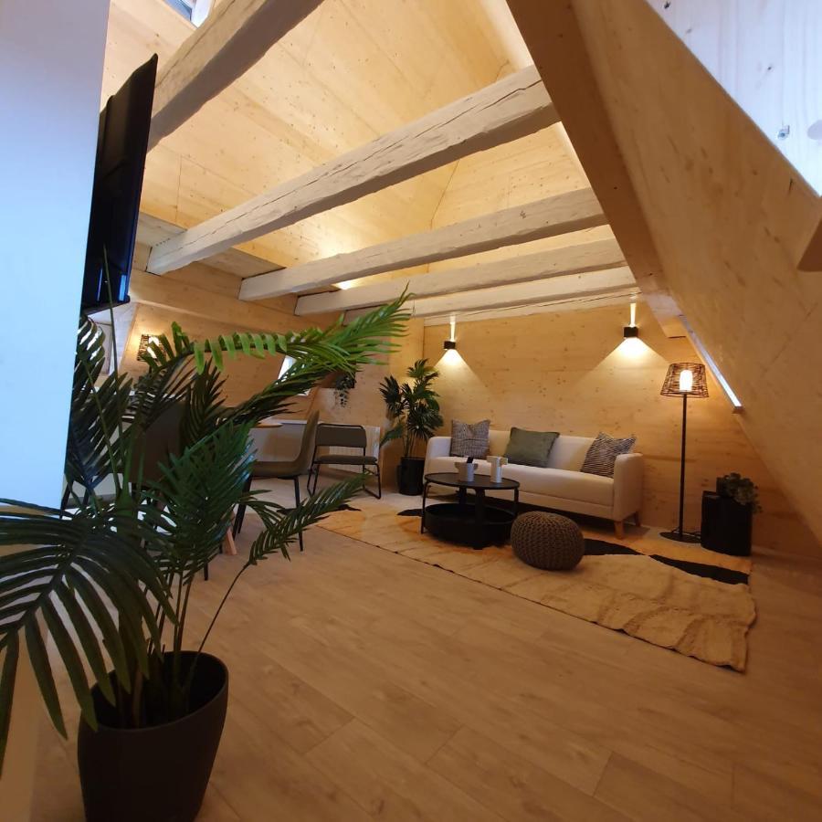 Les Appartements Hyper Centre 斯特拉斯堡 外观 照片