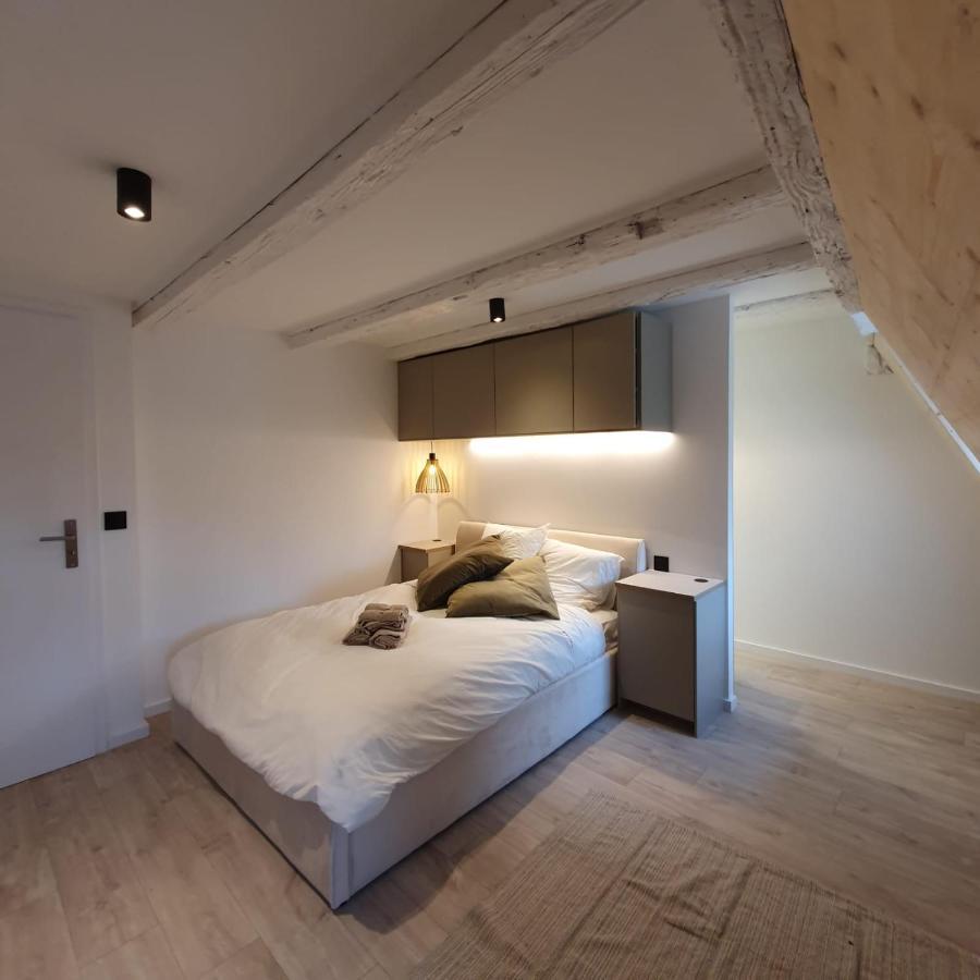 Les Appartements Hyper Centre 斯特拉斯堡 外观 照片